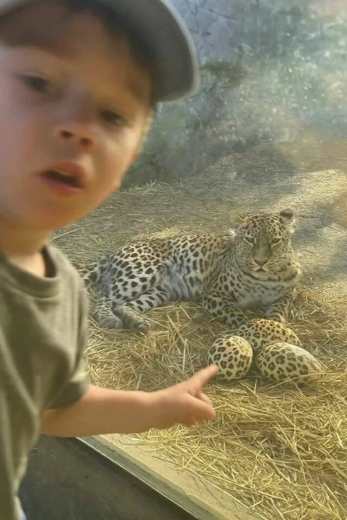 čo?
